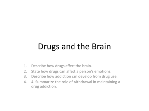 Drugs and the Brain