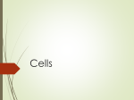 Cells