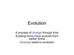 Evolution1