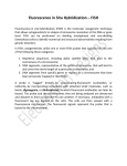 Fluorescence in Situ Hybridization