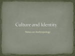 Culture and Identity