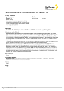 Thyrostimulin beta subunit (Glycoprotein hormone beta 5) Human E