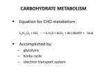 CELL METABOLISM - My Anatomy Mentor