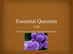 Essential Question