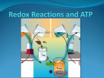 Redox Reactions and ATP