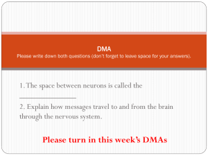 action potential