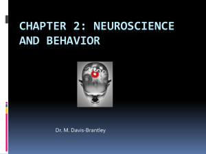 Chapter 2: Neuroscience and Behavior