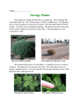 Strange Plants - Piscataway Township Schools