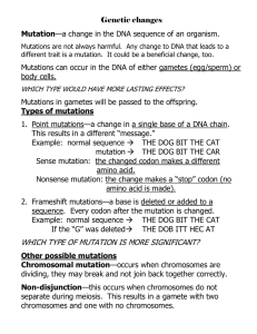 Genetic changes - Southington Public Schools