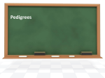 Pedigrees Powerpoint