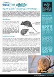 A guide to water vole ecology and field signs