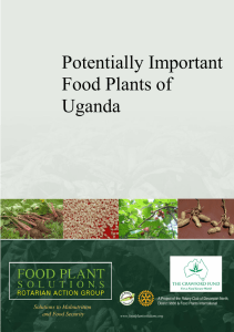 Potentially Important Food Plants of Uganda