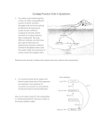 Ecology Practice Grid in Questions