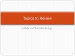 Topics to Review