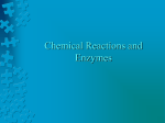 Chemical Reactions and Enzymes What is a chemical reaction?