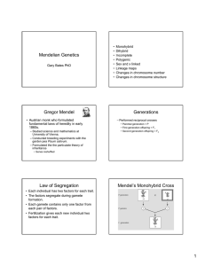 Mendelian Genetics Gregor Mendel Generations Law of