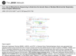 Use of Whole-Exome Sequencing to Determine the Genetic