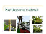 Plant Responses to Stimuli