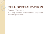 CELL COMMUNICATION