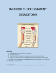 Inferior Check Ligament Desmotomy