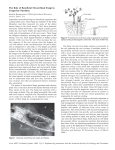 The Role of Beneficial Mycorrhizal Fungi in Grapevine Nutrition