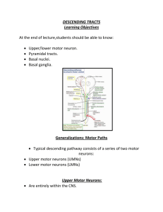 DESCENDING TRACTS Learning Objectives At the end of lecture