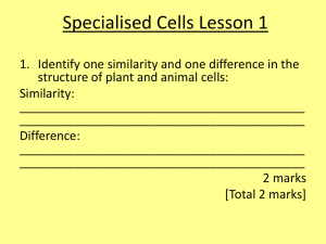 Specialised Cells