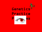 Genetics Practice Problems