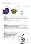 A1 Cell Structure Notes