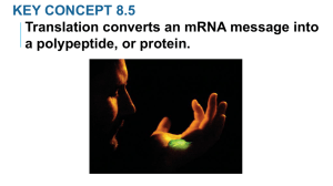 From DNA to Proteins