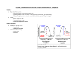 Enzymes and Cell Transport study guide