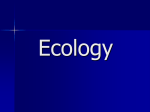 Introduction to Ecology