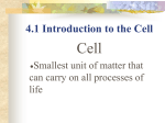 4.1 Introduction to the Cell