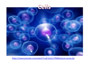 The Diversity of Cells Chapter 3 Section 1 (p. 60 * 66)