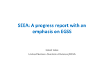 2b. SEEA progress report with an emphasis on EGSS (Sokol