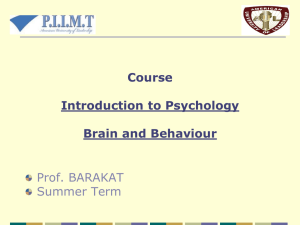 Chapter 2: Brain and Behavior