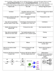 sexual vs asexual comparison