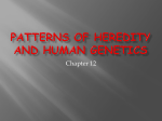 Patterns of Heredity and Human Genetics