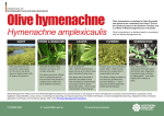 Hymenachne amplexicaulis - Land resource management