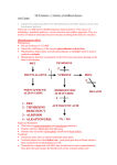 Genetics of Childhood Diseases