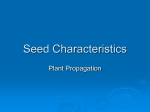 Seed Characteristics