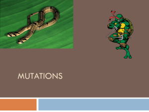 Mutations