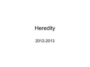 Heredity