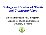 Biology and Control of Giardia and Cryptosporidium