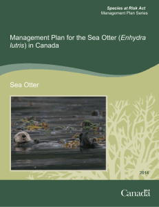 Management Plan for the Sea Otter (Enhydra lutris) in Canada Sea