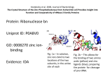 Kostelecky et al. 2006, Journal of Bacteriology The