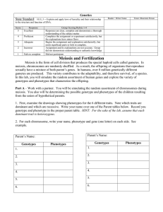 Meiosis and Fertilization