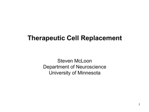 Therapeutic Cell Replacement - McLoon Lab