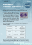 Macrophages