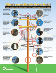 What`s on an Electric Power Pole?